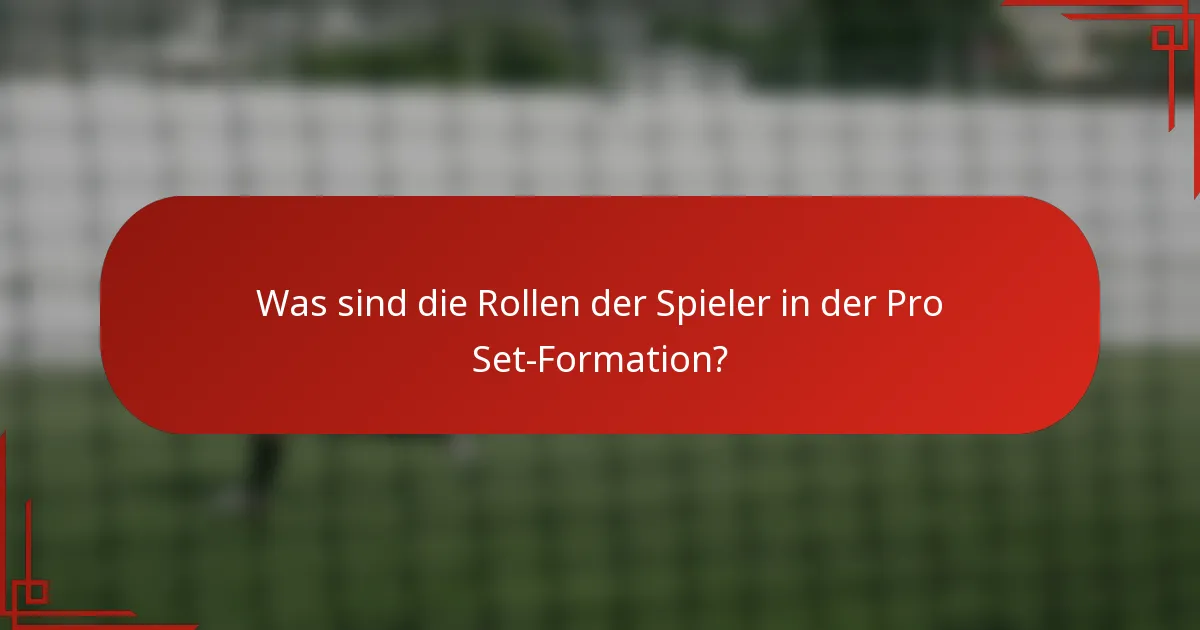 Was sind die Rollen der Spieler in der Pro Set-Formation?