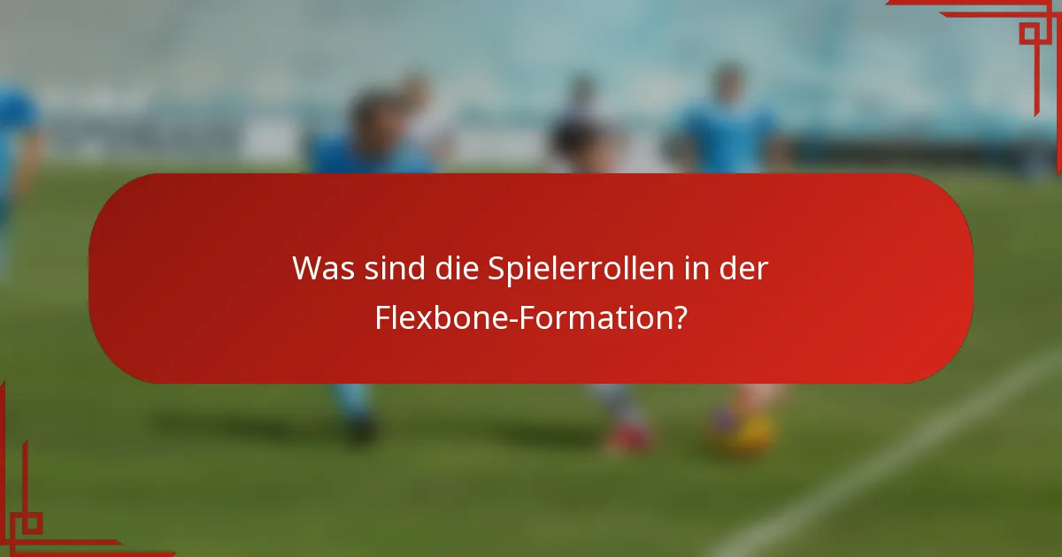 Was sind die Spielerrollen in der Flexbone-Formation?