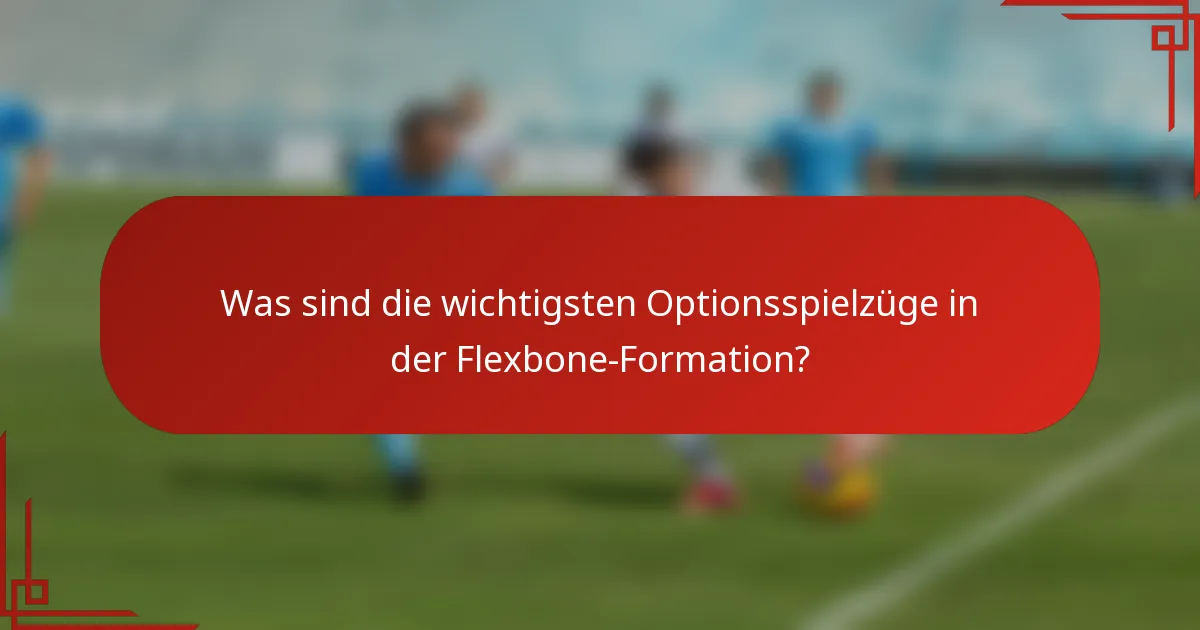 Was sind die wichtigsten Optionsspielzüge in der Flexbone-Formation?