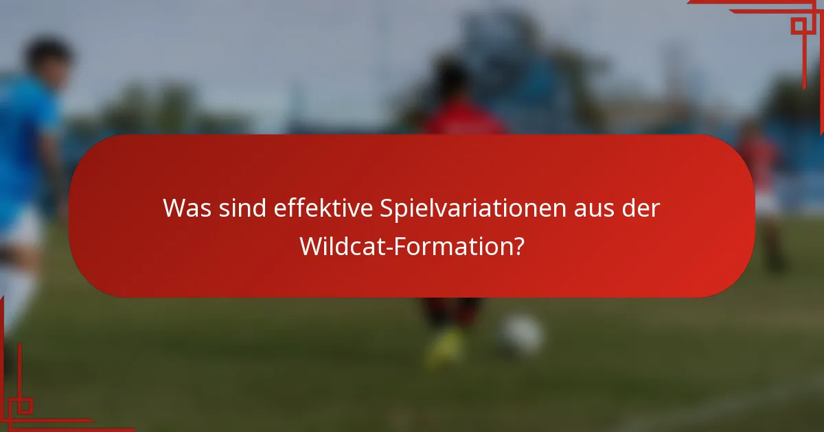 Was sind effektive Spielvariationen aus der Wildcat-Formation?
