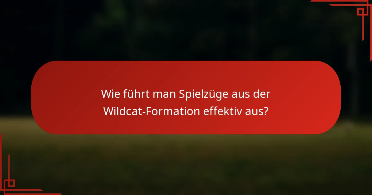 Wie führt man Spielzüge aus der Wildcat-Formation effektiv aus?